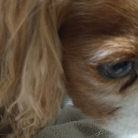 切れない痰とまさかの再発作？の画像