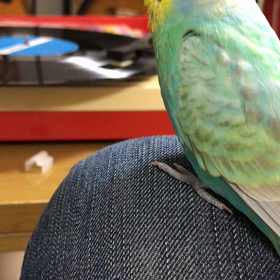 桜木町でイビツの画像