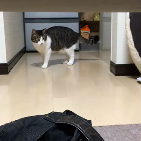 あはは〜ཀ༼ༀ༽ཫ་῍̩̖̬ ̎ ̎✧の画像