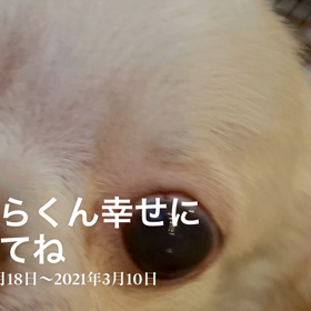 こゆらくん幸せになってね☺️の画像