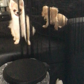 仲良しさん。の画像