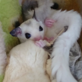 ご予約のお客様への画像