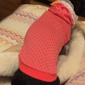 食後の運動の画像