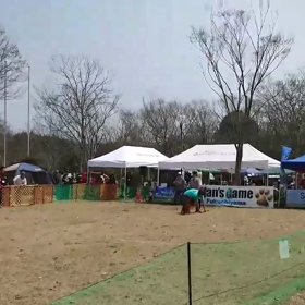 ワンズゲーム福知山2019  まさかの結末の画像