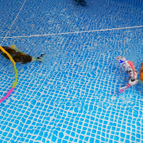 『プチ情報』①の画像