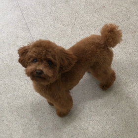 ♪プレイルーム動画♪の画像