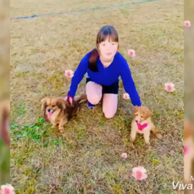 モモちゃんとポピーの動画の画像