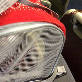 猫キャリー購入後臭くてデールが狂った！の画像