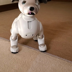 メロメロだよの画像