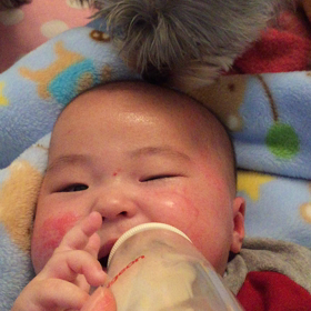 ペロリは、健斗が大好きだ。の画像