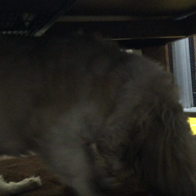 何かが(ﾟ⊿ﾟ)気に入らねぇ...の画像