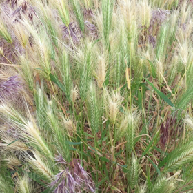 ある風景の画像