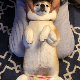 本格的梅雨の画像