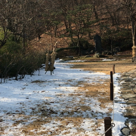 韓国民俗村 動画の画像