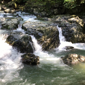 このままの私で生きていこうの画像