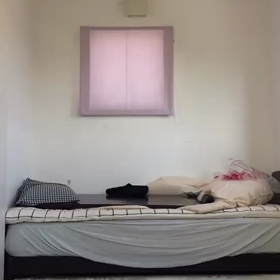 整理整頓⁈の画像