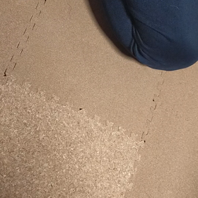 全力だぁぁぁッーーーシュ！！の画像