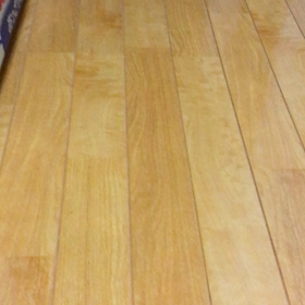 10/3 火曜日の画像