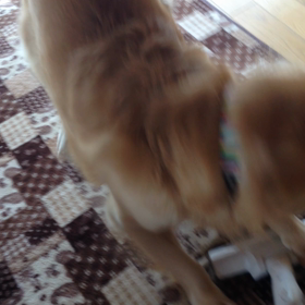 邪魔なんだけど〜の画像