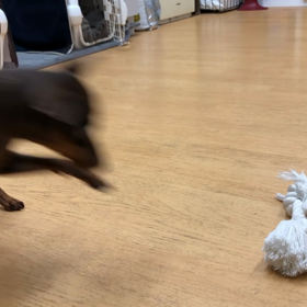 完成はいつかしら？の画像