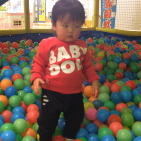ボールプール動画の画像