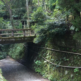 爽やかな朝の画像