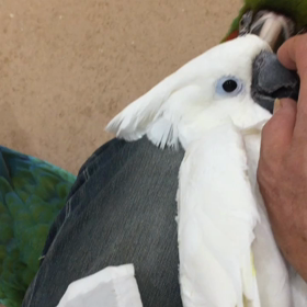 順番待ちの画像