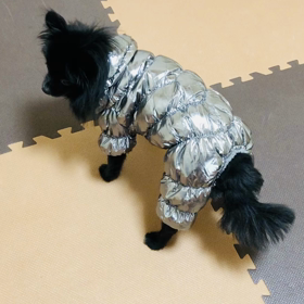 2020年2月4日 ルナ用ダウンの画像