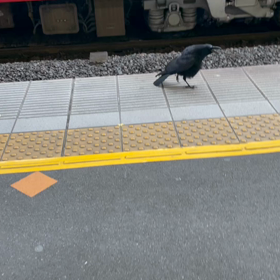 なぜ泣くのの画像