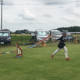 6/18（木）の画像