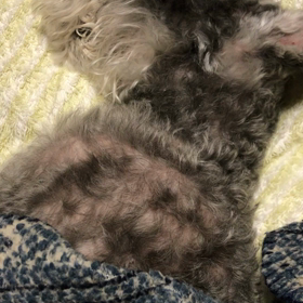 ５／２９　夕方からの画像