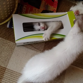 子育てって大変！の画像