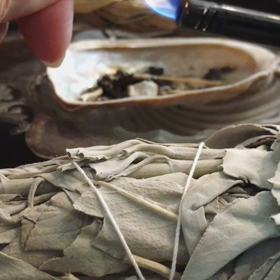 ホワイトセージの画像