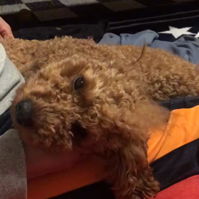 寝惚け　鼻ぷっぷの画像