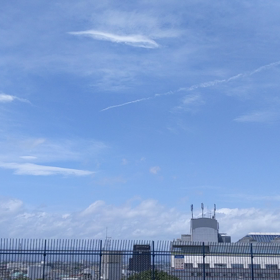 植物と深夜とベランダの画像
