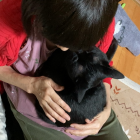 いそからの愛( ◠‿◠ )の画像