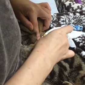 うり(192) 包帯の交換 後編の画像