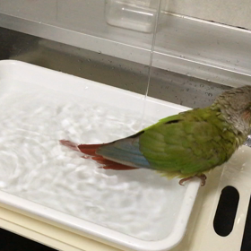 宝くじが当たったらエアコン買うぞ！の画像