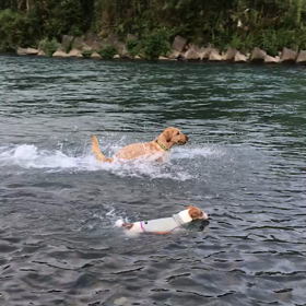 ペットボトル争奪戦？の画像