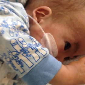 あけましておめでとうございます。の画像