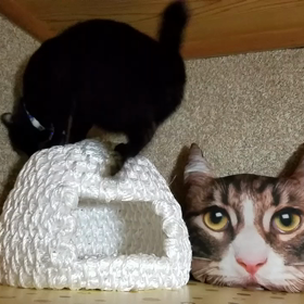 Ｒ＆Ｏ(119)ちぐらららー♪の画像