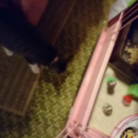 心春さんの夕食の画像