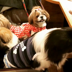 インスタオフ会開催‼️の画像