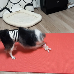 レオン　夏の終わりの画像