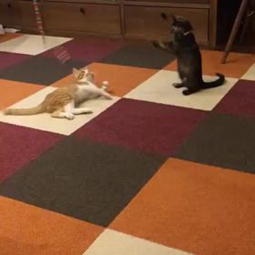 早速遊んでもらってますの画像