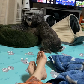 それでも文太が好きの画像