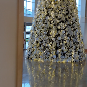 南国のクリスマス(*´ω｀*)の画像