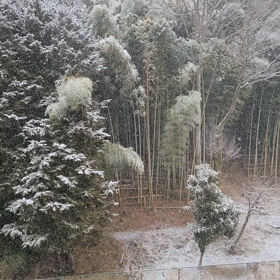 積もってますの画像