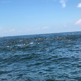 激アツっ！の画像