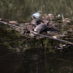 何というか…の画像